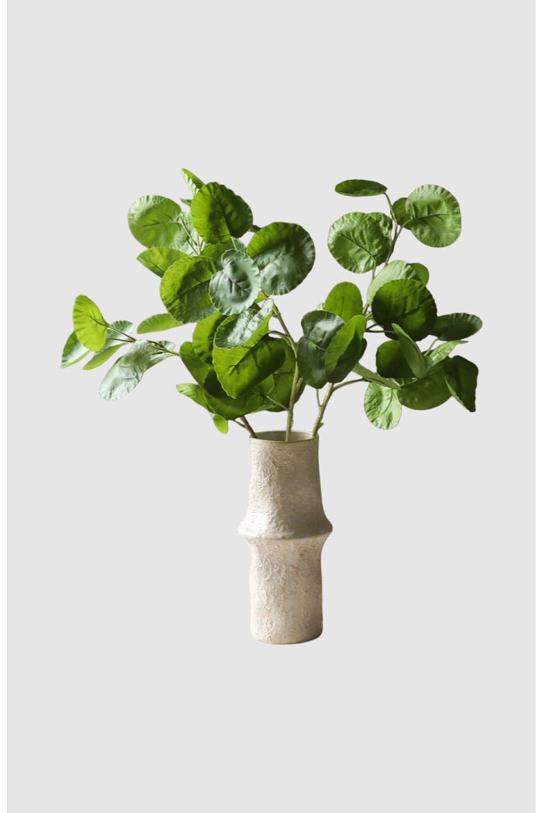Green Plum Aralia Leaves, Alternate, color, Green