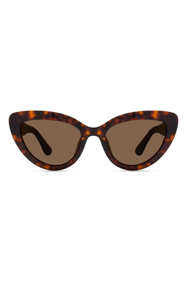 Costanza Sunglasses, Main, color, HAVANA