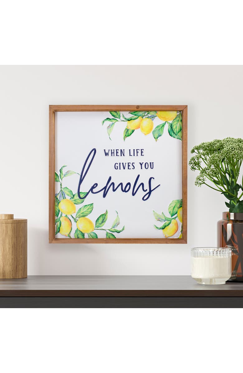 Northlight 16" Wooden Framed "When Life Gives you Lemons" Metal Sign Spring Wall Decor, Alternate, color, White