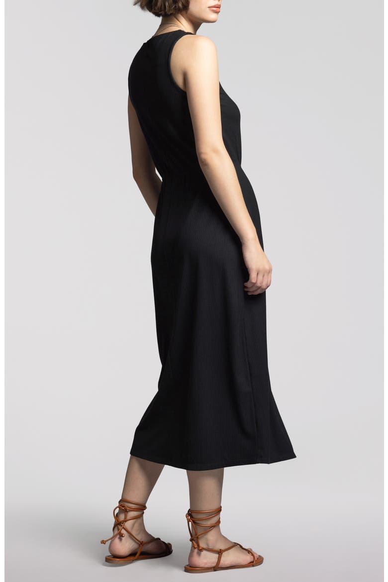 Sandra Sleeveless Dress, Alternate, color, BLACK