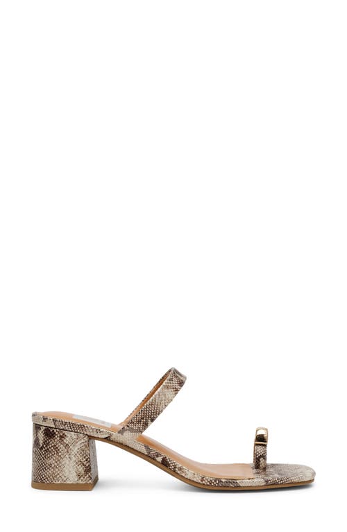 Dolce Vita Dv By  Legend Toe Loop Block Heel Sandal In Exotic