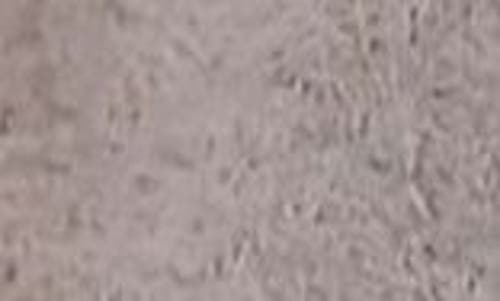 Saachi O-ring Choker Necklace In Gray