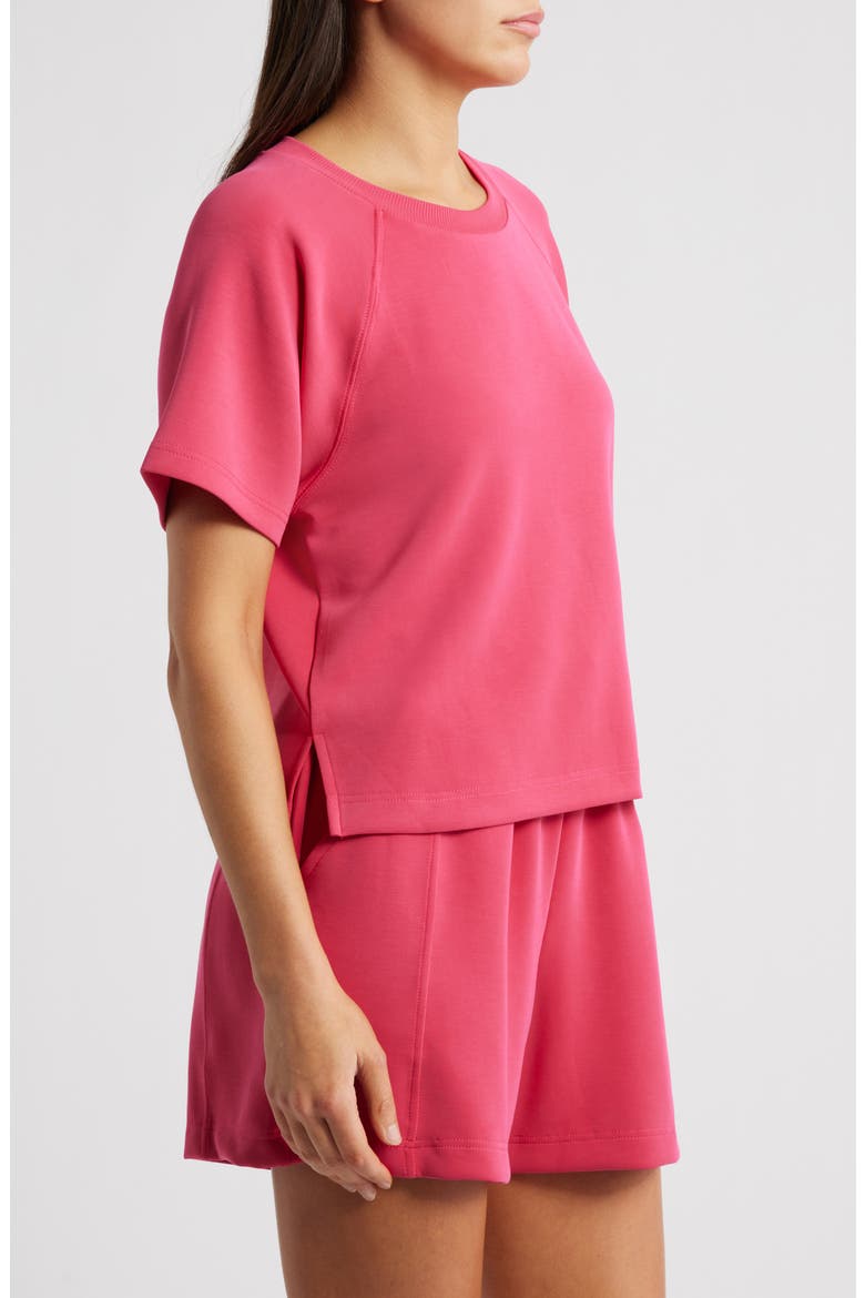 Raglan Sleeve T-Shirt, Alternate, color, BRIGHT ROSE