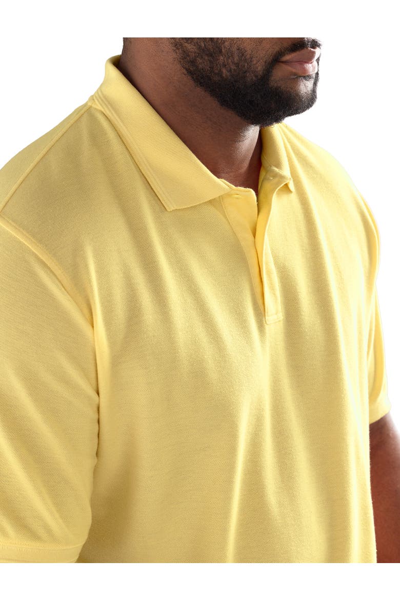 Big & Tall Garment-Dyed Polo Shirt, Alternate, color, LEMON DROP
