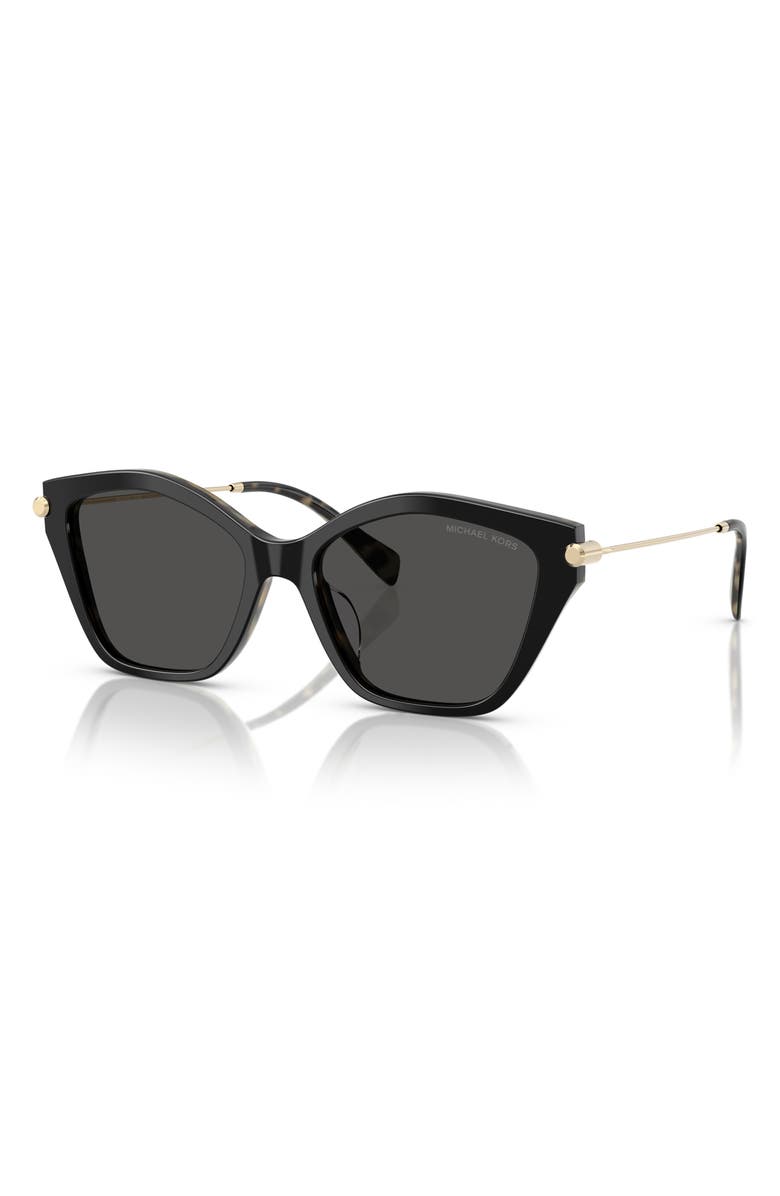 Michael Kors 54mm Catskills Irregular Sunglasses, Alternate, color, Black/ Amber Tortoise / Grey