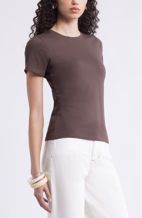 Nordstrom Pima Cotton Blend Crewneck T-shirt In Brown