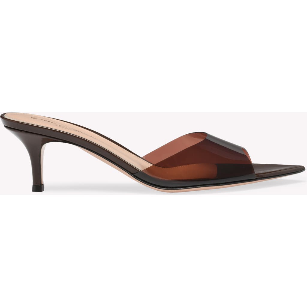 Gianvito Rossi Pointed Toe Mules With Semi-sheer Strap