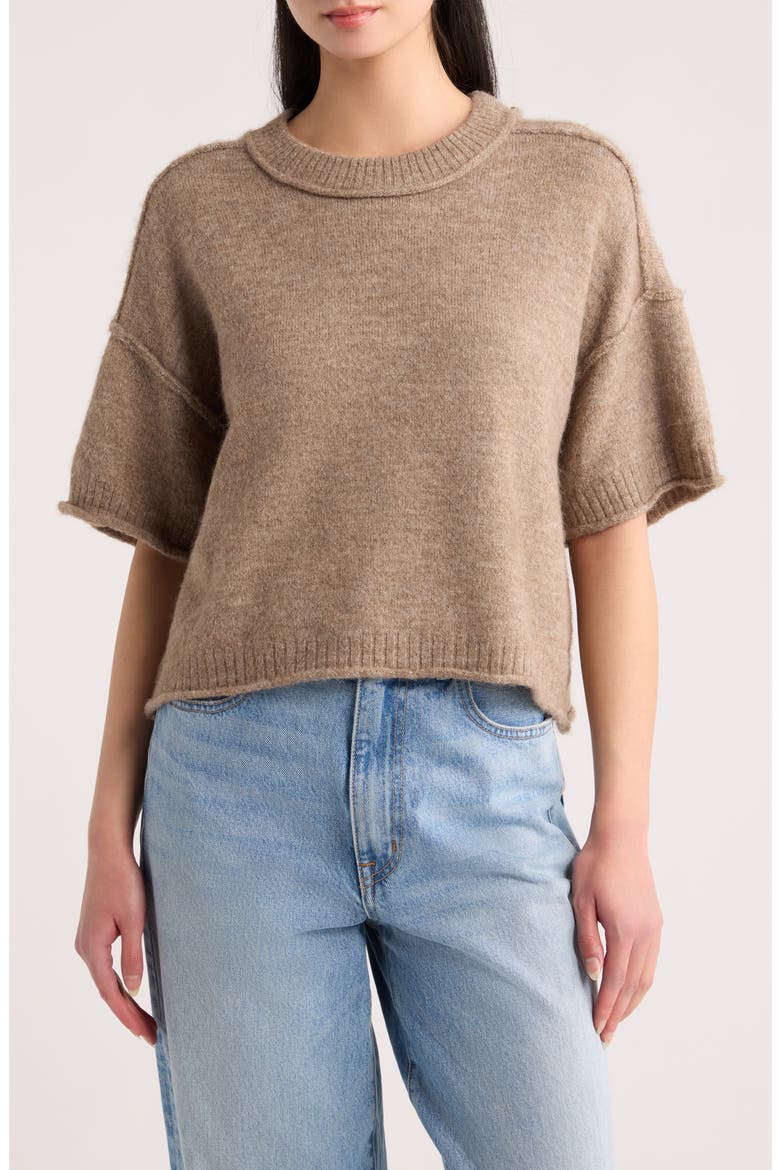 Lynne Crewneck Sweater, Main, color, MOCHA