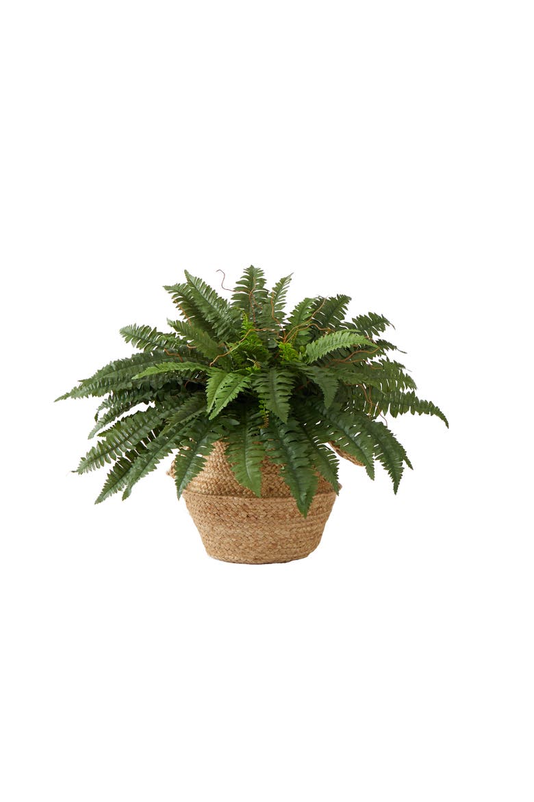 23-in Artificial Boston Fern Plant with Handmade Jute & Cotton Basket DIY KIT, Main, color, Green