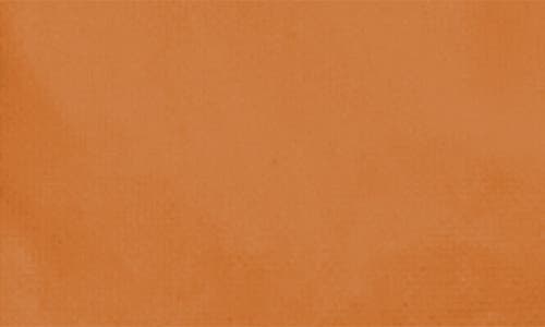 Baboon To The Moon Dopp Kit In Brown