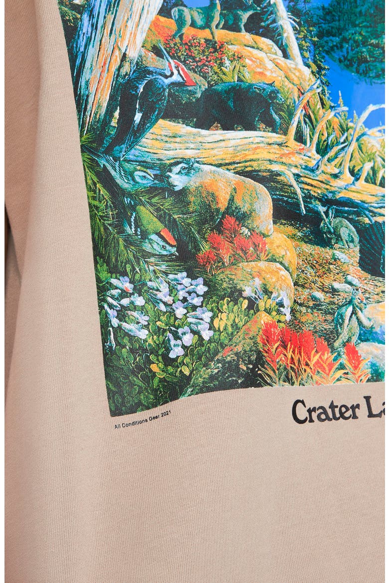 ACG Crater Lake Graphic Tee, Alternate, color, KHAKI/ WHITE