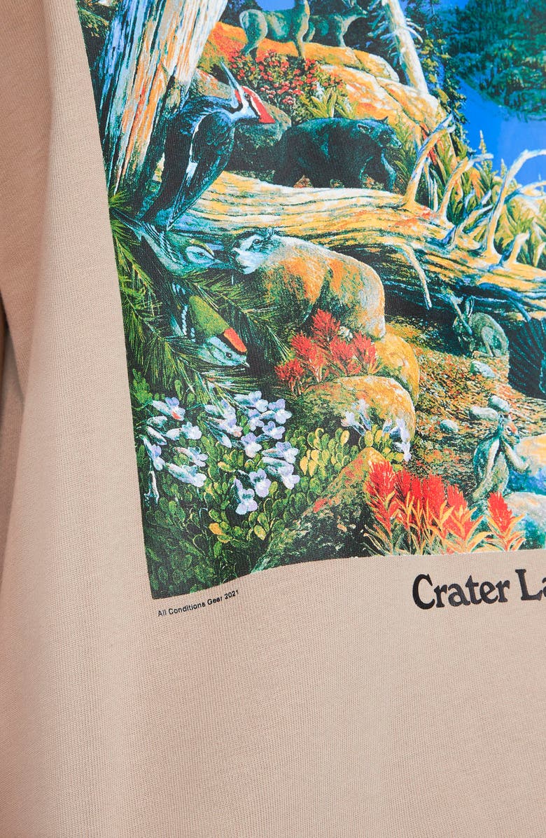 Nike ACG Crater Lake Graphic Tee, Alternate, color, 