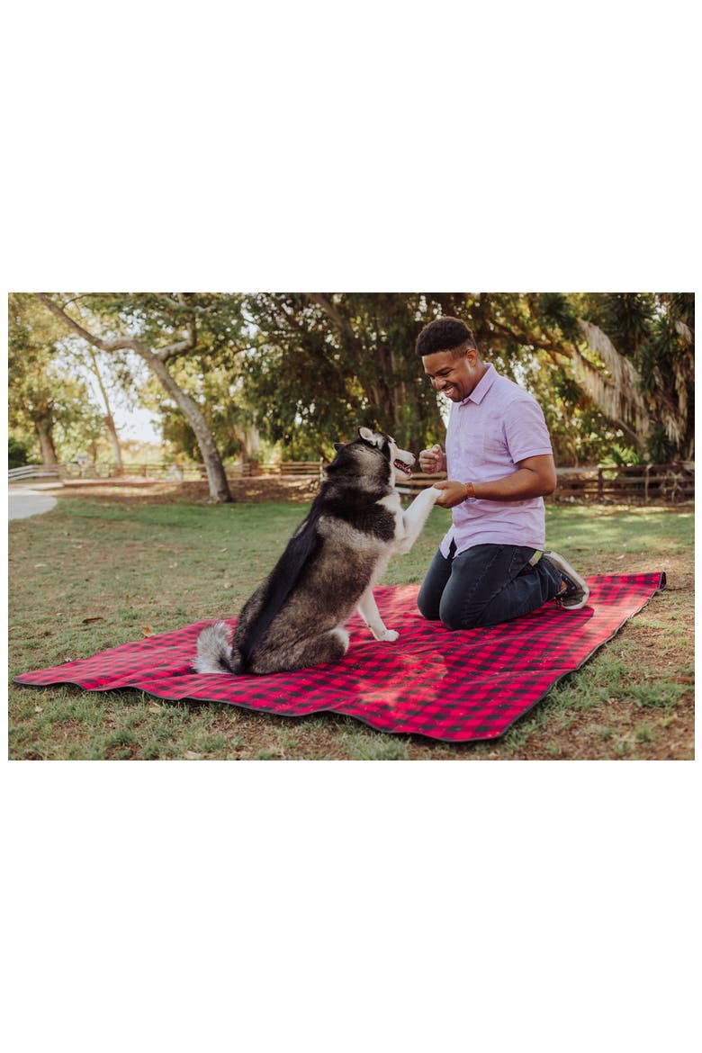 Blanket Tote Outdoor Picnic Blanket, Alternate, color, MULTI