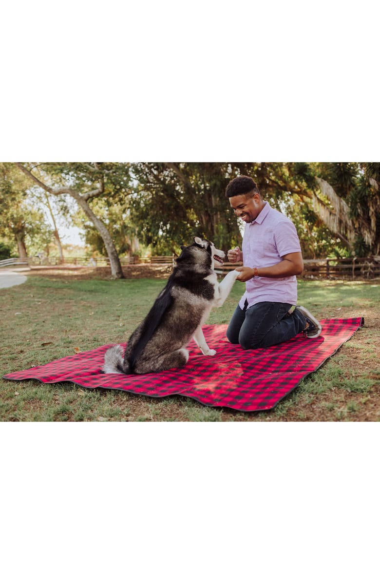 Picnic Time Blanket Tote Outdoor Picnic Blanket, Alternate, color, Multi