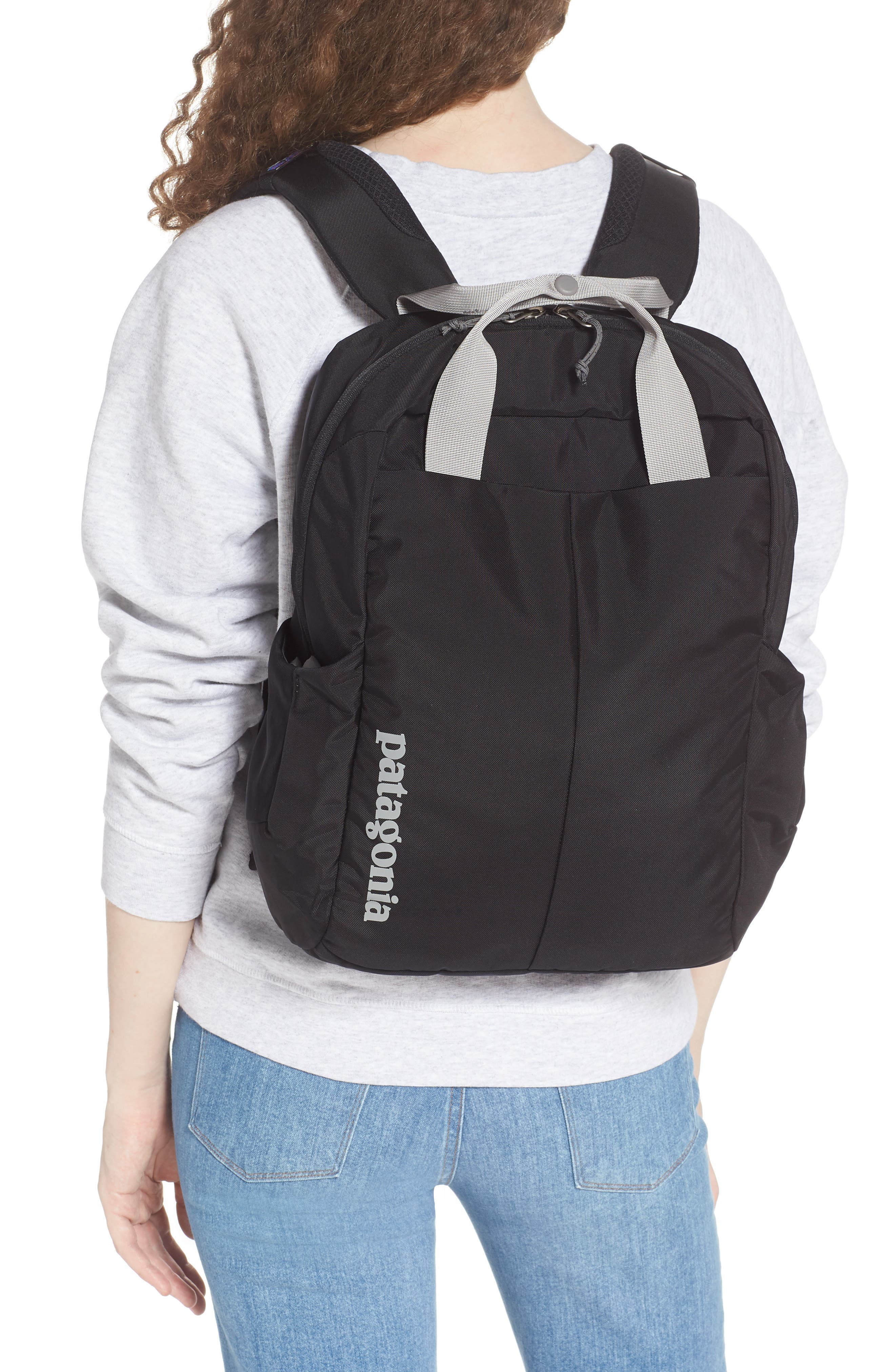 Patagonia Tamangito 20L Backpack, Alternate, color, 