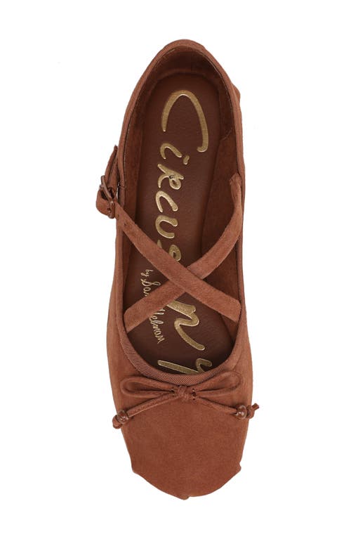 Circus Ny By Sam Edelman Zuri Strappy Ballet Flat In Brown