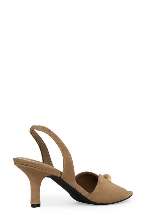 Rebecca Minkoff Paris Slingback Pointed Toe Sandal