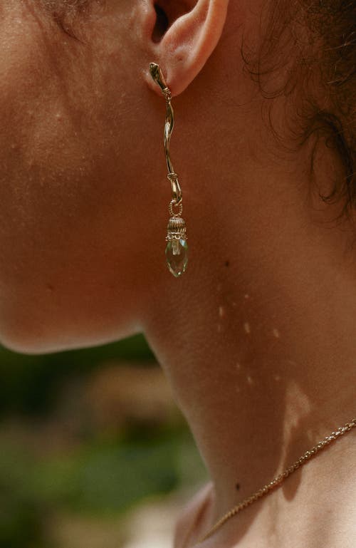 Rc Retro Chic Nut Fairy Dangle Earrings In Gold