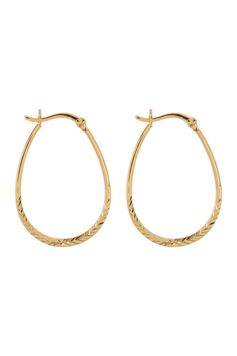Horseshoe Hoop Earrings, Main, color, GOLD
