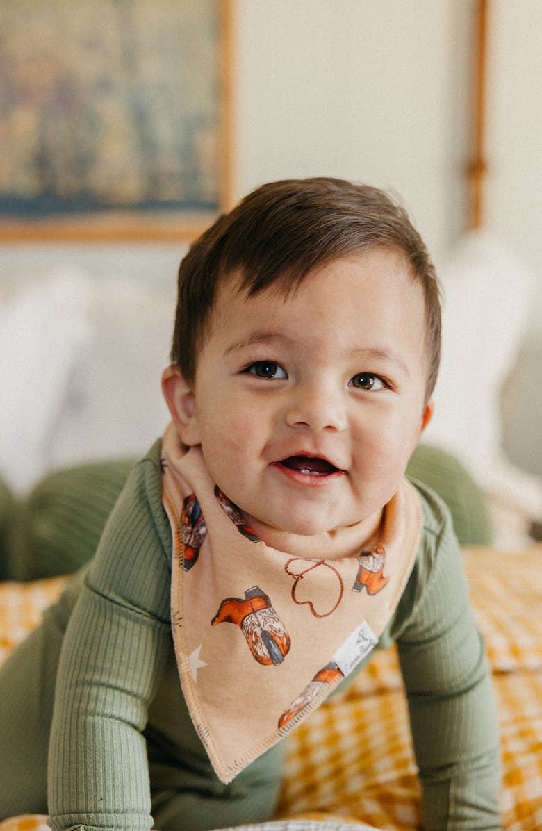 Copper Pearl Boone Assorted 4-Pack Bandana Bibs, Alternate, color, Boone