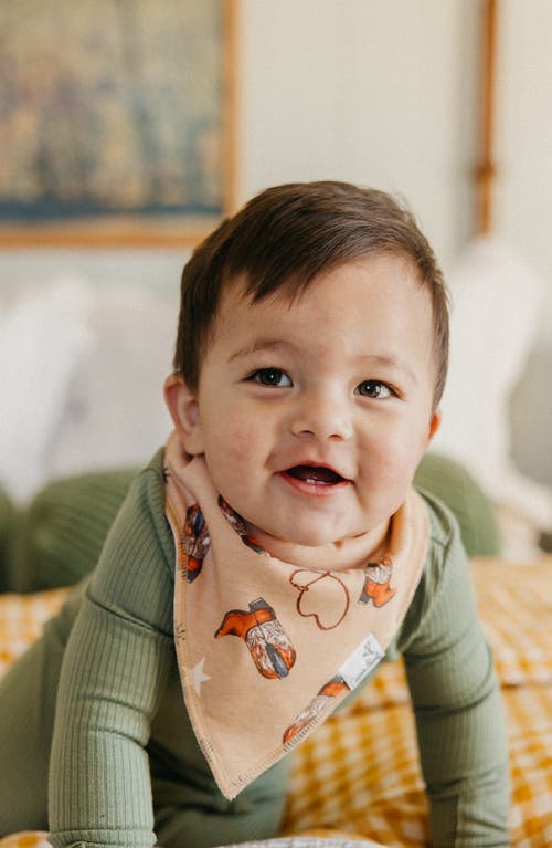 Copper Pearl Boone Assorted 4-pack Bandana Bibs In Neutral