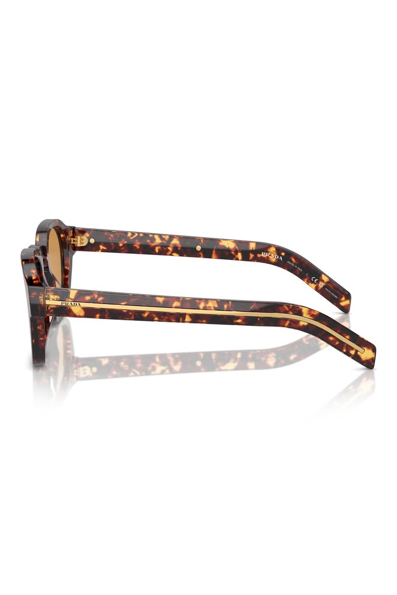 49mm Round Phantos Sunglasses, Alternate, color, TORTOISE
