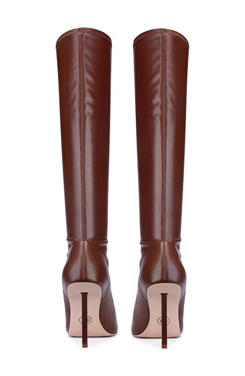 Femme La Whistler Pointed Toe Knee High Boot In Brown