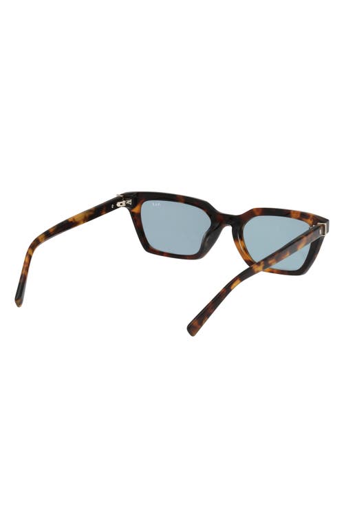 Abercrombie & Fitch 52mm Cat Eye Sunglasses In Black