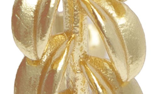 Saachi Botanical Hoop Earrings In Gold
