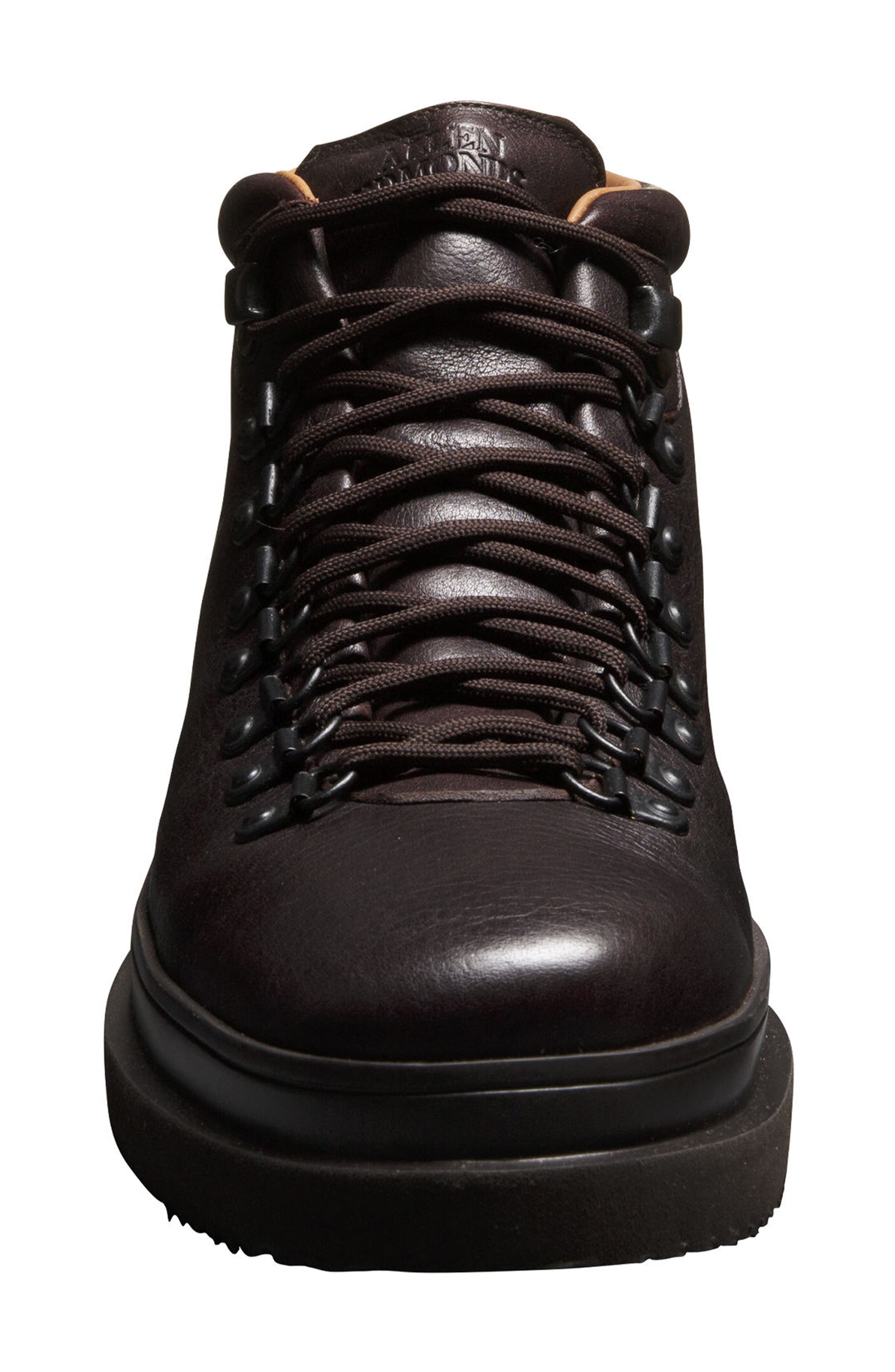 Allen Edmonds Knox Leather Sneaker Boot, Alternate, color, Polo Brown