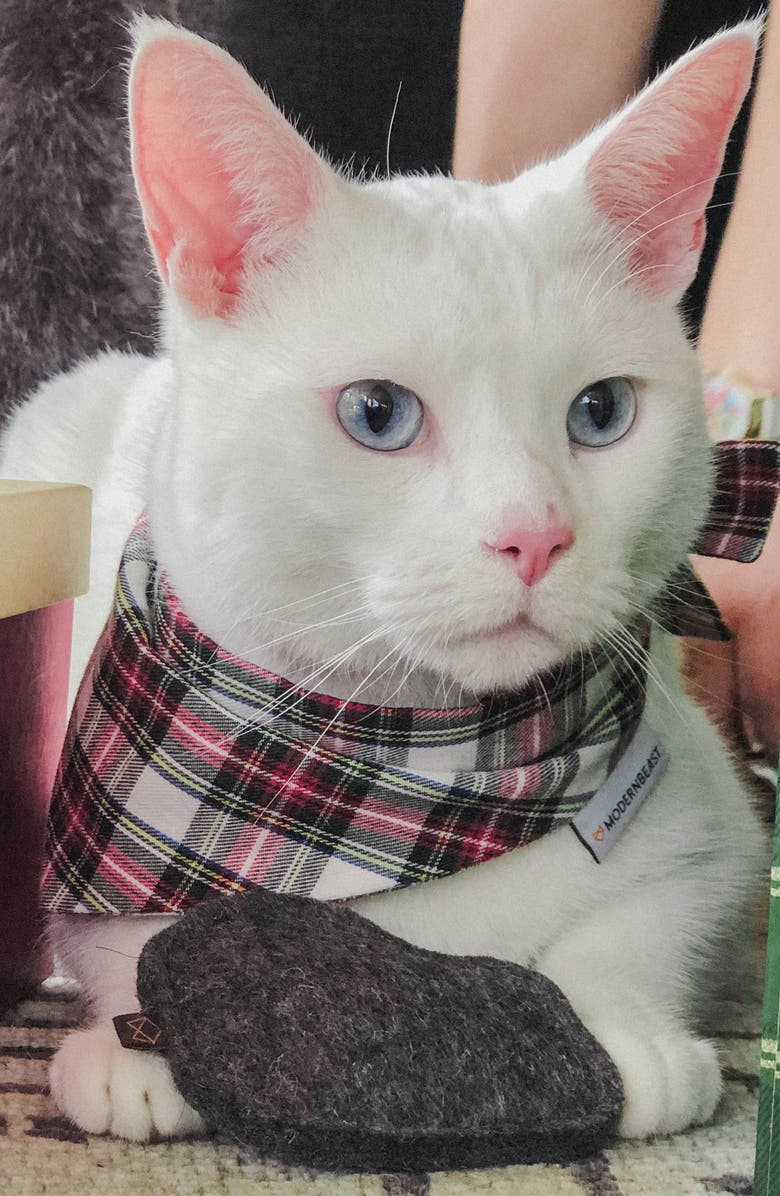 MODERNBEAST Naughty Kitty Coal Catnip Toy, Alternate, color, Kitty