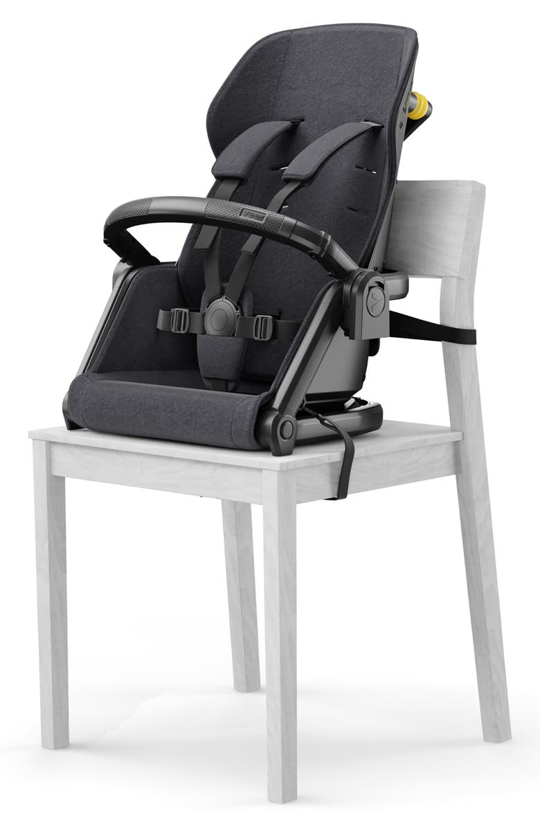 Veer Switchback System Seat, Alternate, color, 