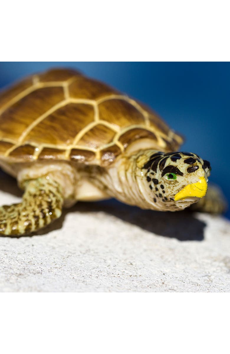 Safari Ltd. Loggerhead Turtle Kids Toy Figure, Alternate, color, NO COLOR