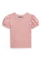 selected Adirondack Rose