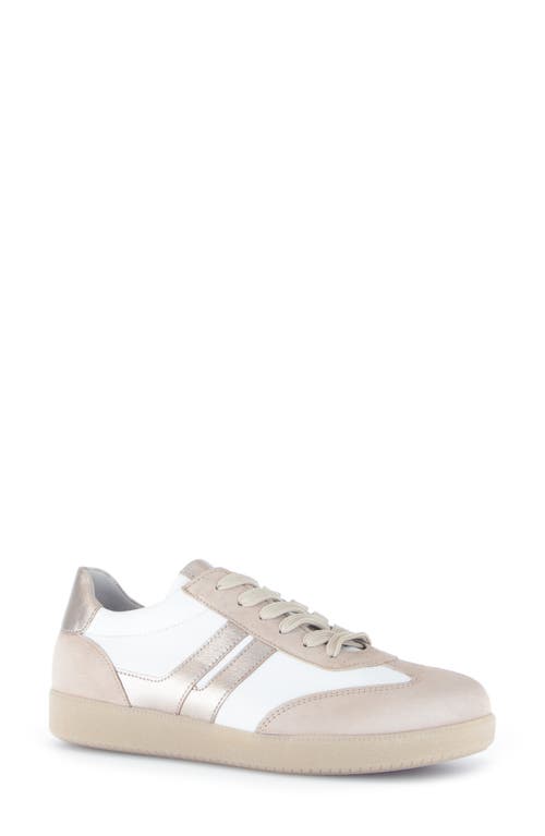 Shop Gabor 63.300 Sneaker In Puder