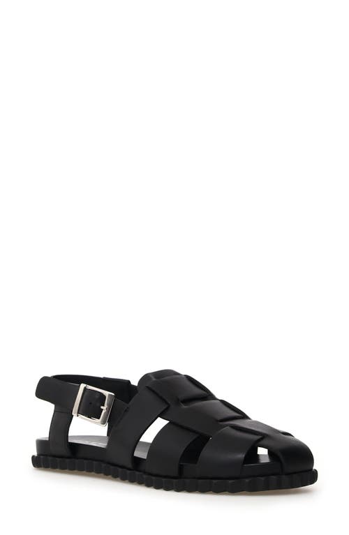 Shop Voile Blanche Alice Fisherman Sandal In Black