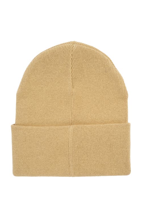 Polo Ralph Lauren Scripted Pony Beanie In Brown