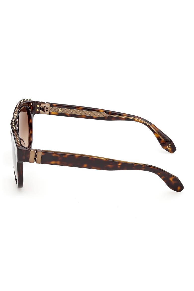 53mm Round Sunglasses, Alternate, color, HAVANA BRONZE / ZEISS GREEN