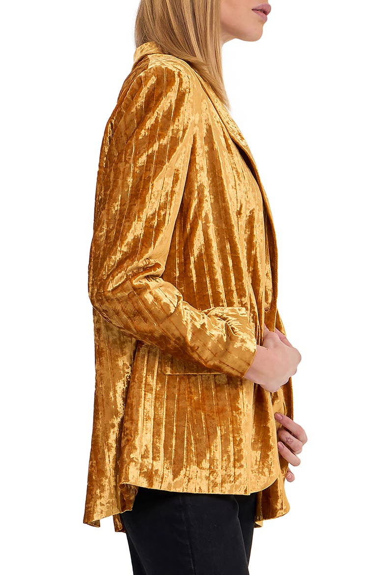 Pleated Crushed Velvet Blazer, Alternate, color, GOLD