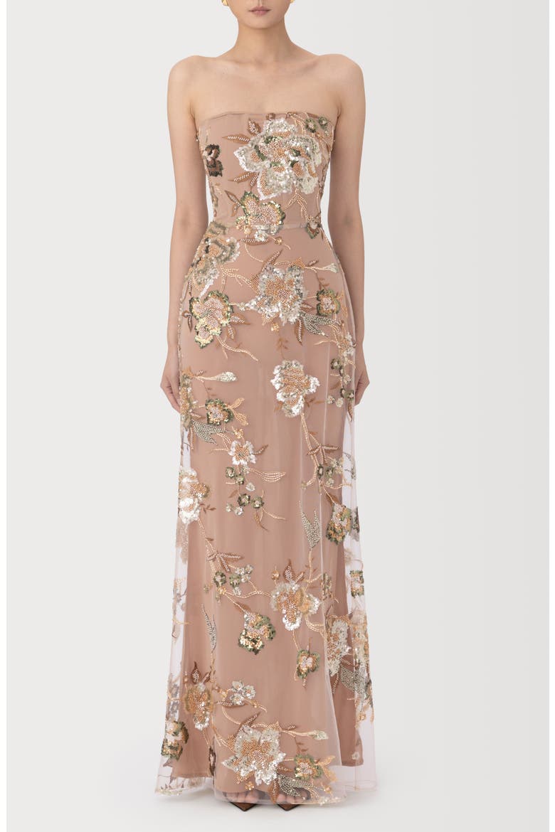 Pippa Floral Embellished Mesh Gown, Main, color, TAUPE MULTI