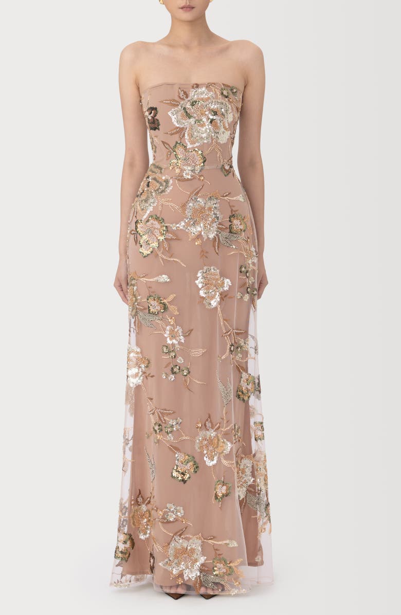 SAU LEE Pippa Floral Embellished Mesh Gown, Main, color, Taupe Multi