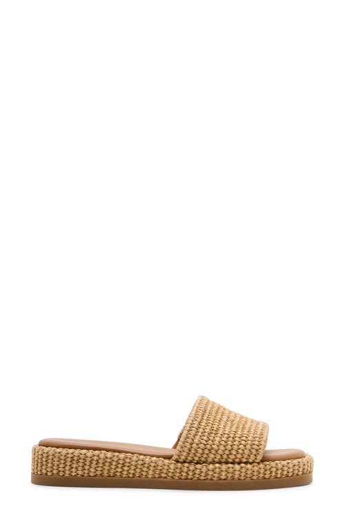 Steve Madden Boardwalk Slide Sandal In Natural Raffia