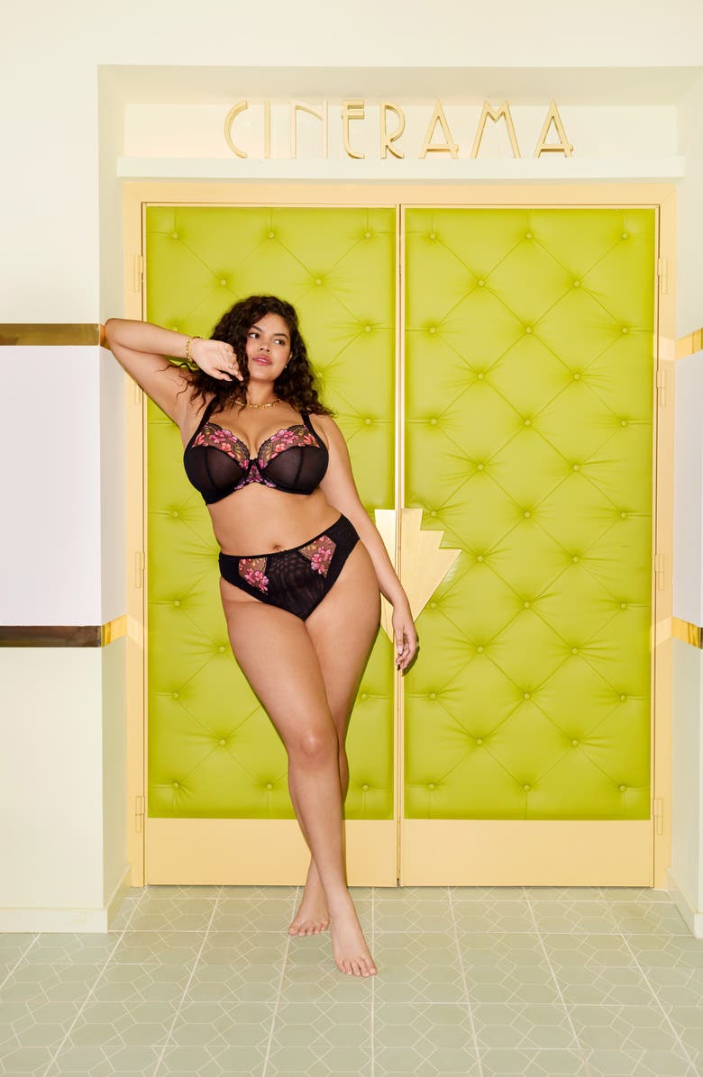 Elomi Teagan Full Figure Underwire Plunge Bra, Alternate, color, Black/ Rainbow