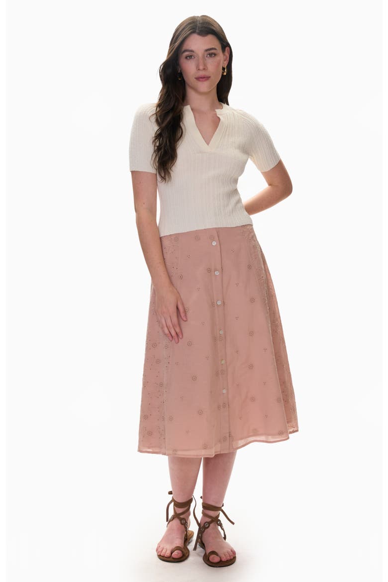 Gabrielle Embroidered Skirt, Main, color, Desert Rose