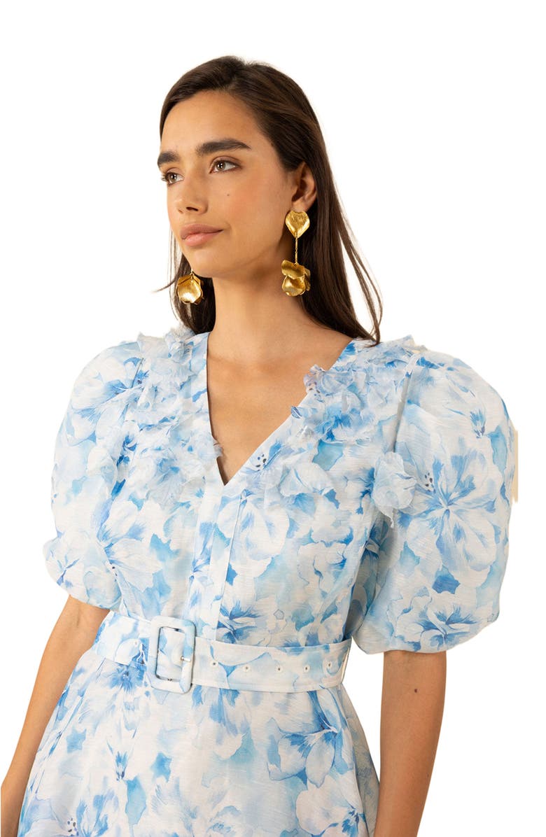 Hale Bob Promise Floral Organza Dress, Alternate, color,