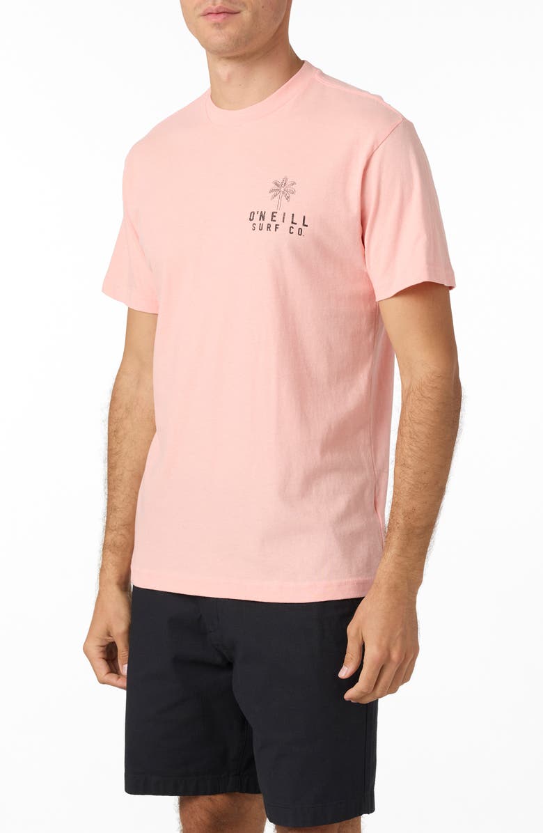 O'Neill Puzzle Piece Graphic T-Shirt, Alternate, color, 