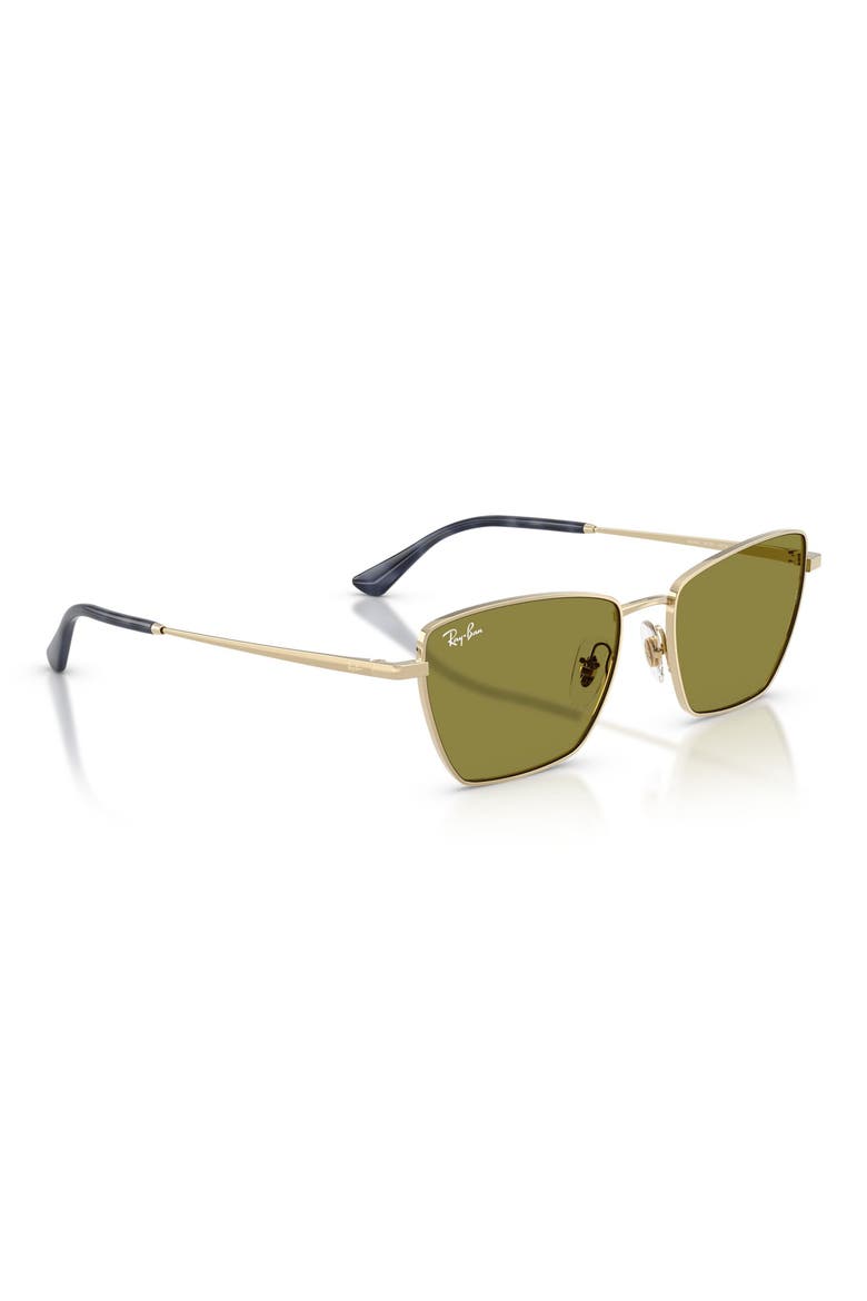 Ray-Ban サングラス　DREA BIO-BASED Ray-Ban Drea Bio-Based 53mm Polarized Irregular Cat Eye Sunglasses