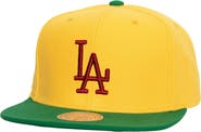 Mitchell & Ness Men's Mitchell & Ness Yellow/Green Los Angeles Dodgers Hometown Snapback Hat