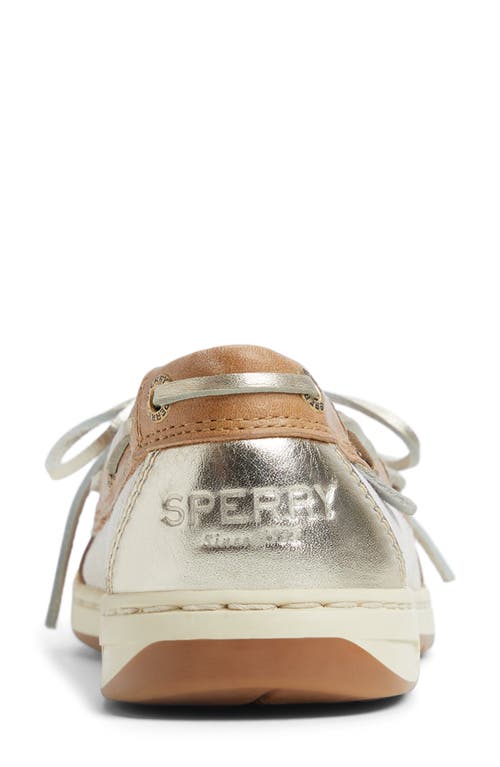 Sperry Angelfish Loafer