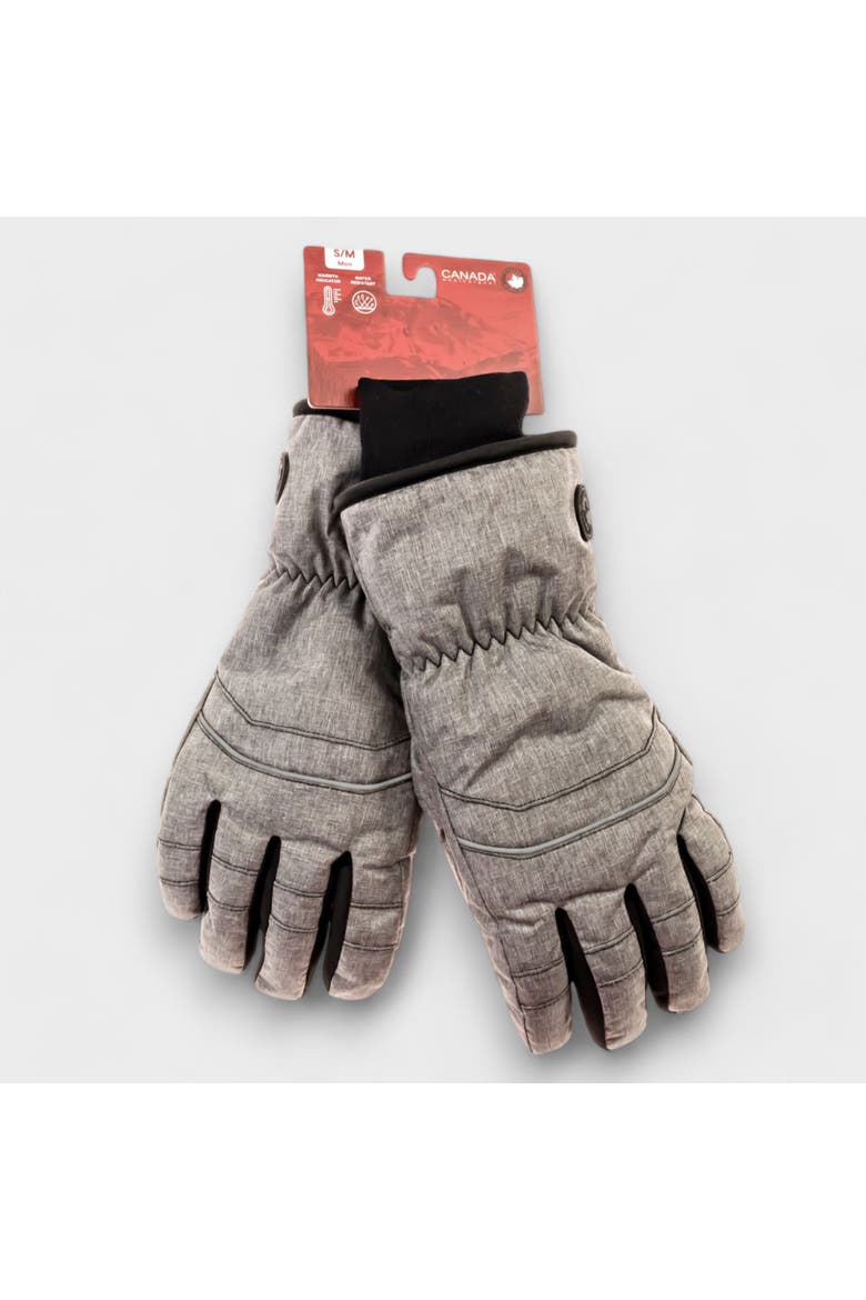 Men's Ski Gloves, Alternate, color, Grey